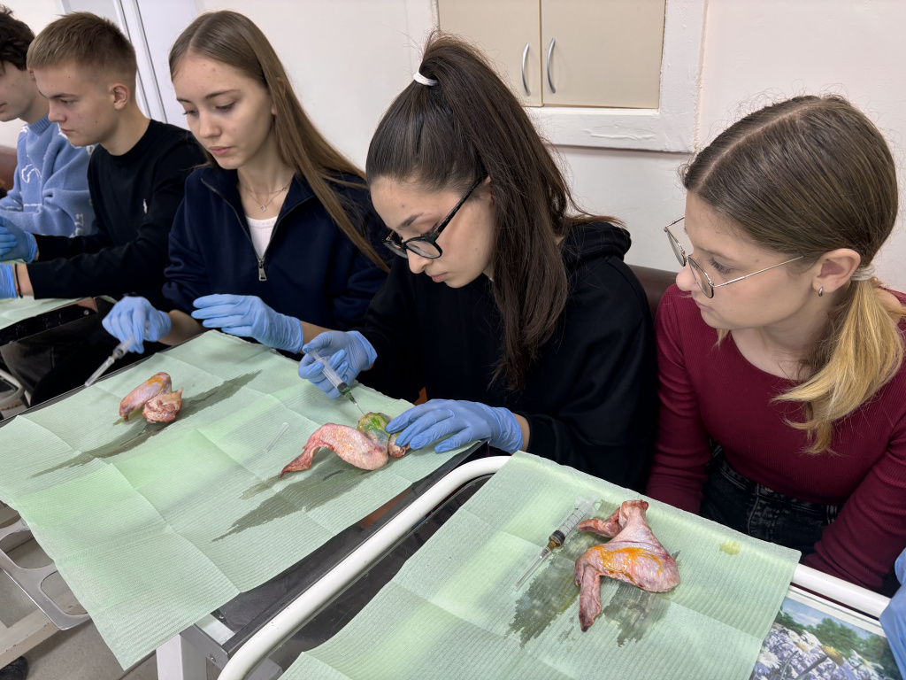 Школьники почувствовали себя стоматологами на «Университетских субботах» в ВолгГМУ