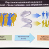 Актовая лекция академика В. И. Петрова для врачей. 2 июня 2016